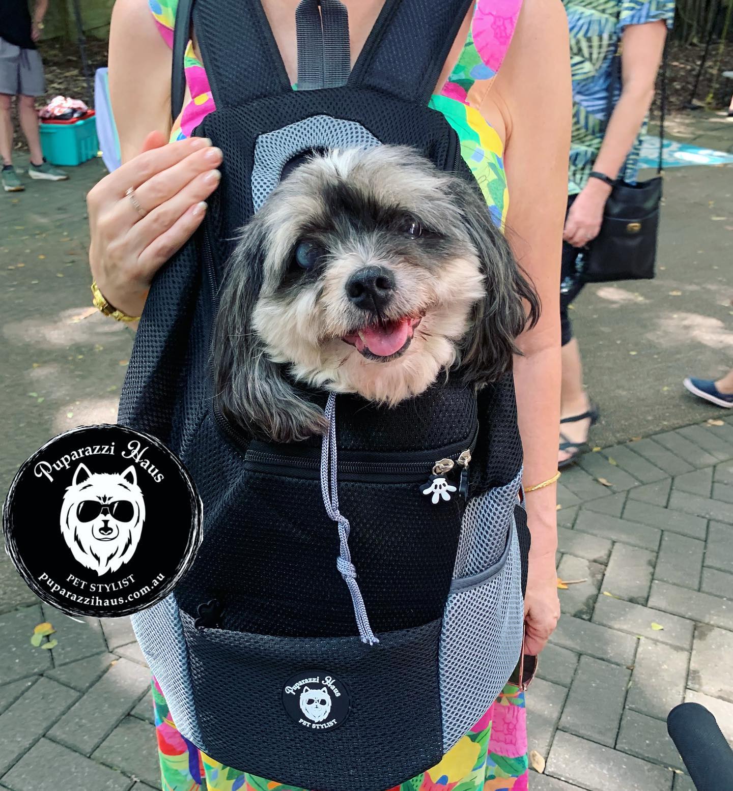 Dog Travel Backpack