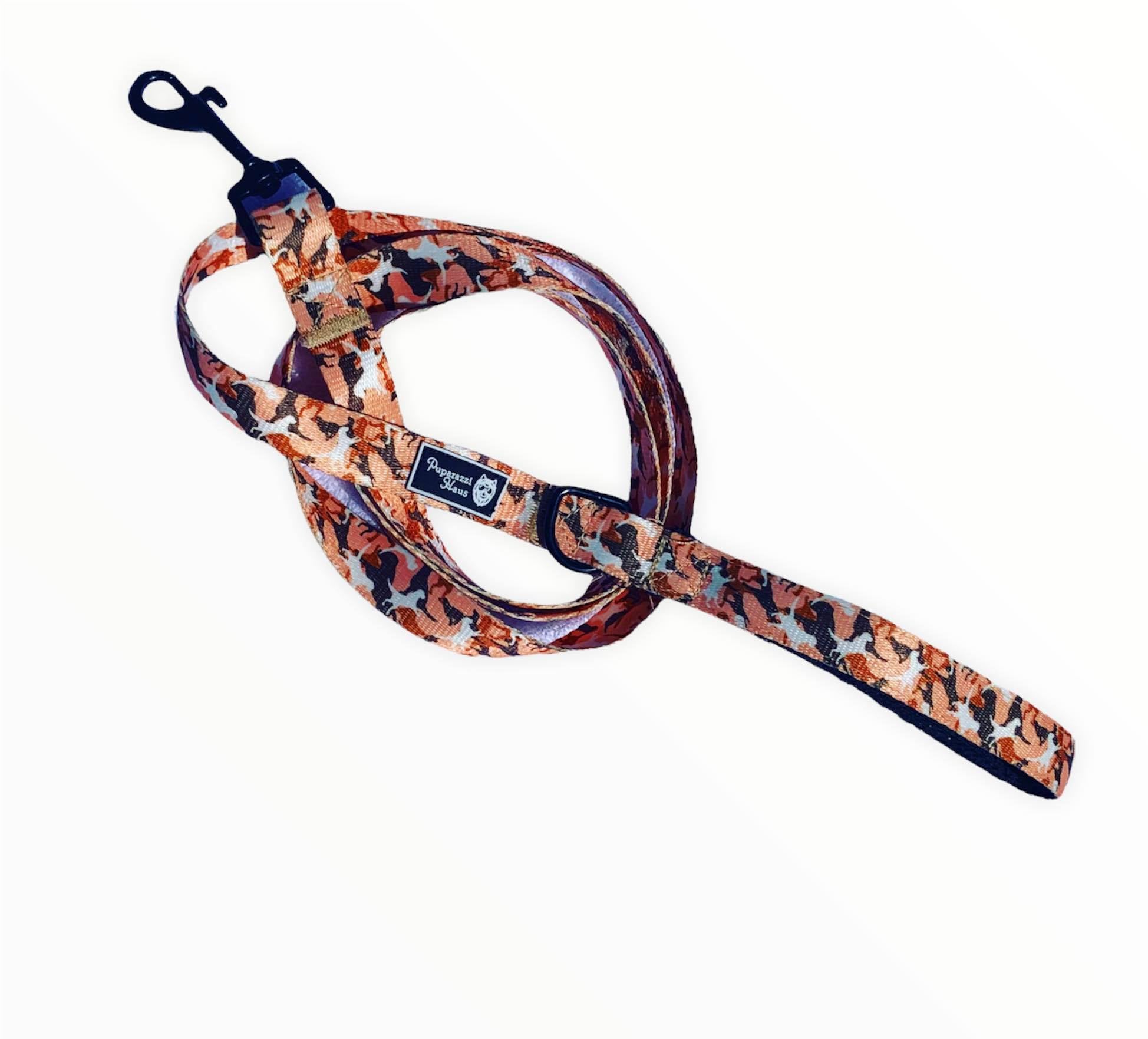 Dog lead clearance accessories